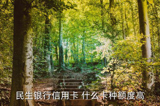 民生銀行信用卡 什么卡種額度高