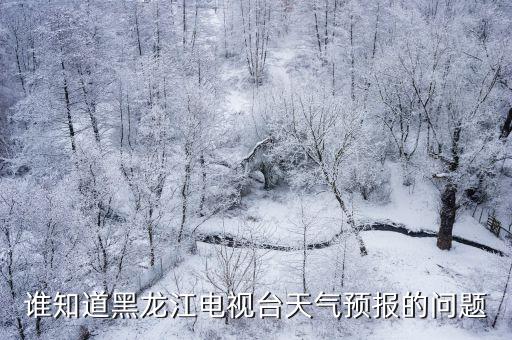 誰知道黑龍江電視臺天氣預報的問題