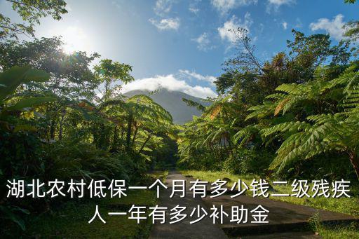 湖北農(nóng)村低保一個(gè)月有多少錢二級殘疾人一年有多少補(bǔ)助金