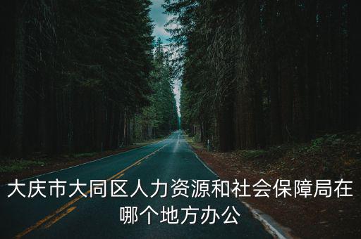 大慶市大同區(qū)人力資源和社會(huì)保障局在哪個(gè)地方辦公
