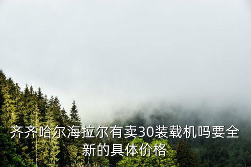 齊齊哈爾海拉爾有賣30裝載機嗎要全新的具體價格