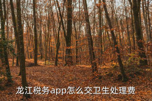龍江稅務app怎么交衛生處理費