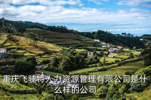重慶飛駛特人力資源管理有限公司是什么樣的公司