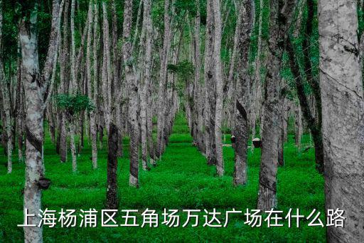 上海楊浦區(qū)五角場萬達(dá)廣場在什么路