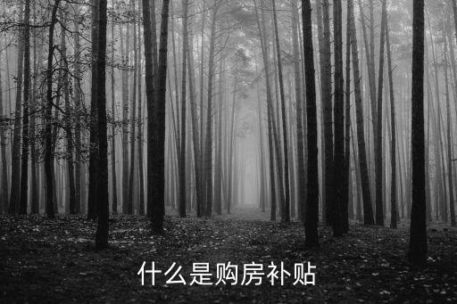 什么是購房補貼