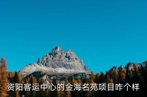 資陽客運中心的金海名苑項目咋個樣