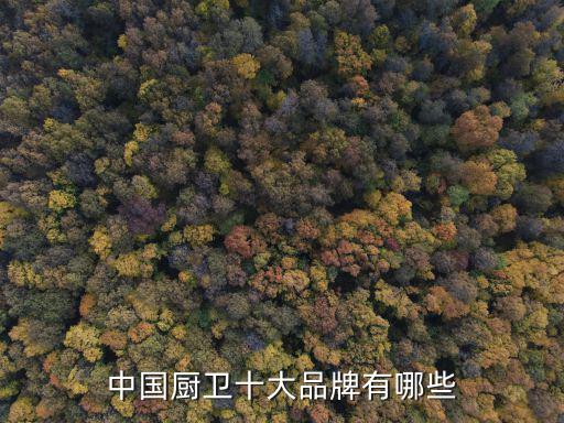 中國廚衛十大品牌有哪些