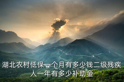 湖北農(nóng)村低保一個月有多少錢二級殘疾人一年有多少補助金