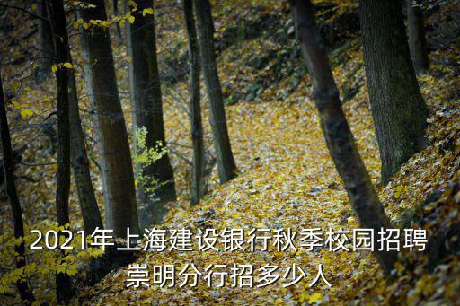 崇明招聘，2021年上海建設銀行秋季校園招聘崇明分行招多少人