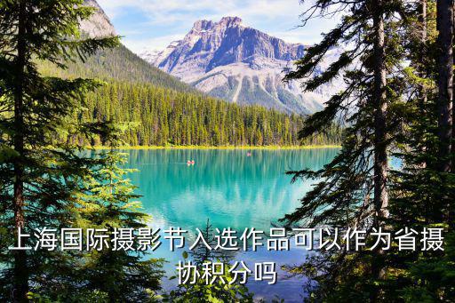 上海國際攝影節入選作品可以作為省攝協積分嗎