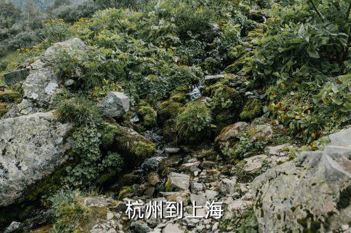 杭州到上海