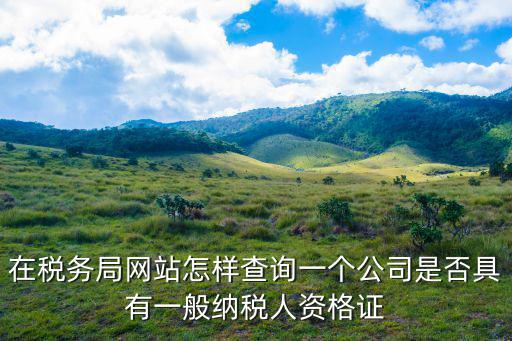 在稅務局網站怎樣查詢一個公司是否具有一般納稅人資格證