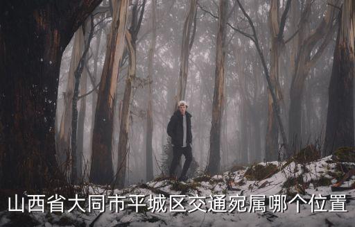 山西省大同市平城區(qū)交通宛屬哪個(gè)位置