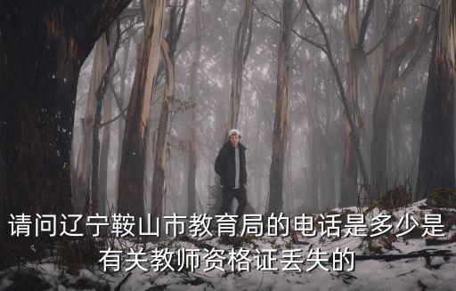 請問遼寧鞍山市教育局的電話是多少是有關(guān)教師資格證丟失的