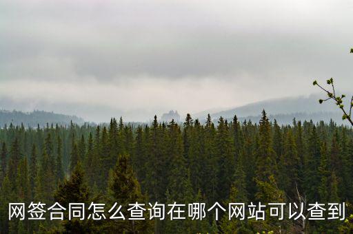 網(wǎng)簽合同怎么查詢在哪個網(wǎng)站可以查到