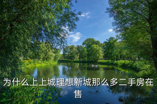 為什么上上城理想新城那么多二手房在售