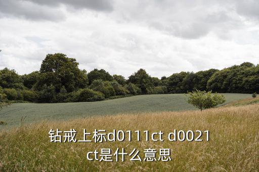 鉆戒上標d0111ct d0021ct是什么意思