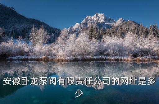 臥龍泵閥，安徽有哪些泵廠