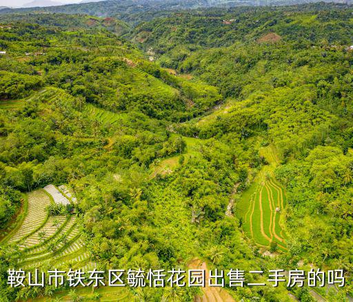 鞍山市鐵東區(qū)毓恬花園出售二手房的嗎