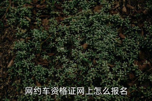網約車資格證網上報名，網約車從業資格證怎么報名