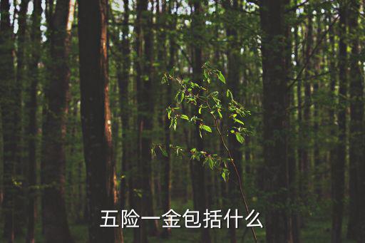 五險(xiǎn)一金包括什么