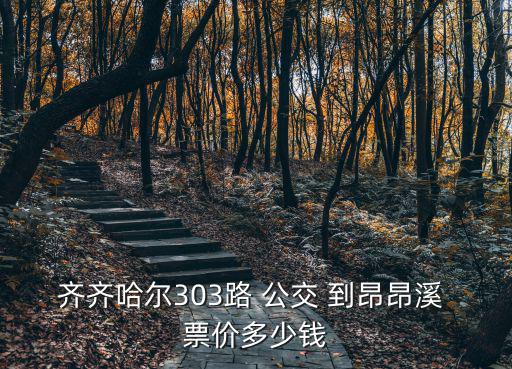 齊齊哈爾303路 公交 到昂昂溪 票價多少錢
