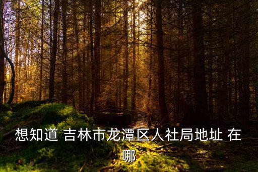 想知道 吉林市龍?zhí)秴^(qū)人社局地址 在哪