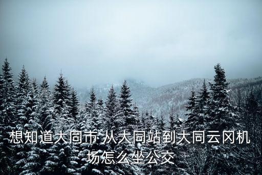 想知道大同市 從大同站到大同云岡機(jī)場(chǎng)怎么坐公交