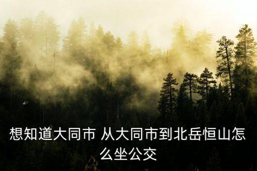 想知道大同市 從大同市到北岳恒山怎么坐公交