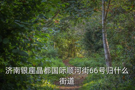 濟南銀座晶都國際順河街66號歸什么街道