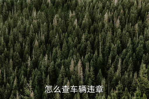 查汽車違章，怎么查車輛違章
