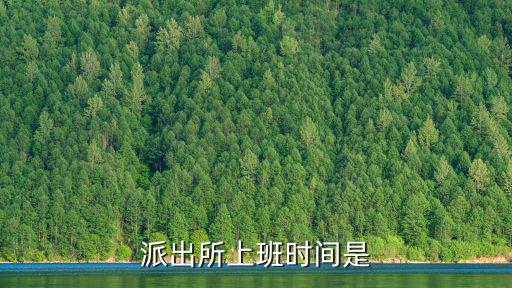 派出所工作時間，派出所上班時間是