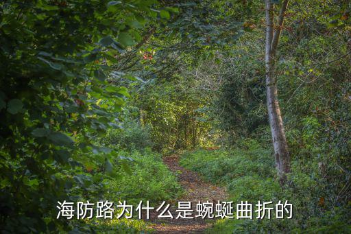 海防路為什么是蜿蜒曲折的