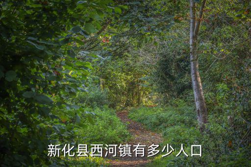 新化縣西河鎮有多少人口