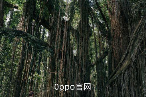 0ppo官網(wǎng)