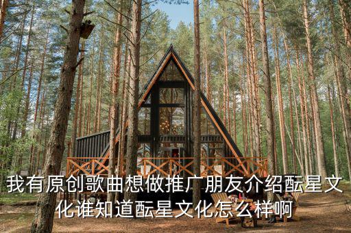 我有原創歌曲想做推廣朋友介紹醞星文化誰知道醞星文化怎么樣啊