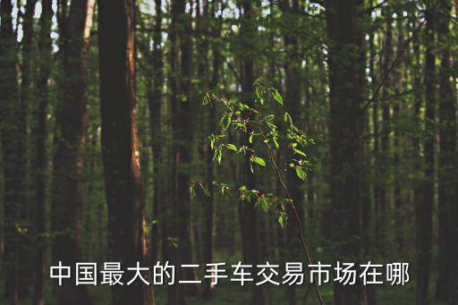中國最大的二手車交易市場在哪
