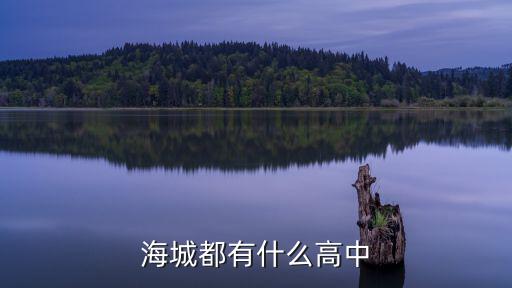 海城都有什么高中