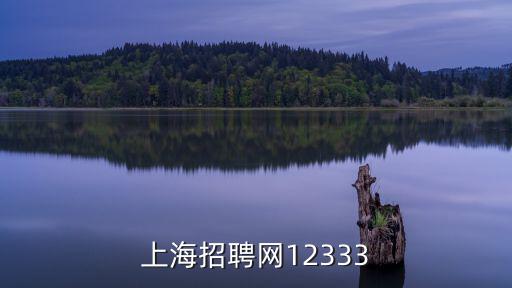 上海招聘網(wǎng)12333