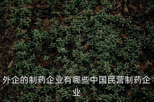 外企的制藥企業有哪些中國民營制藥企業