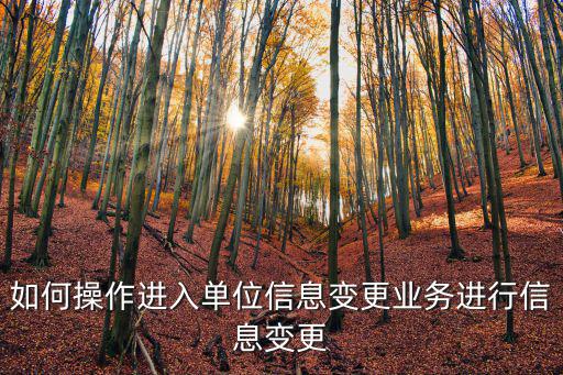 如何操作進入單位信息變更業(yè)務(wù)進行信息變更