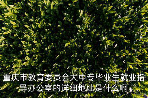 重慶市教委官網(wǎng)，重慶的教育網(wǎng)