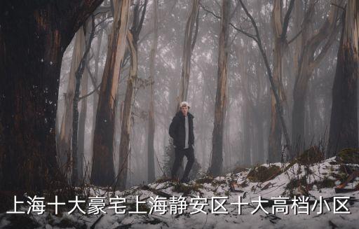 上海豪宅，上海十大豪宅上海靜安區(qū)十大高檔小區(qū)