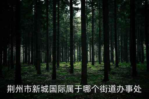 荊州市新城國際屬于哪個(gè)街道辦事處