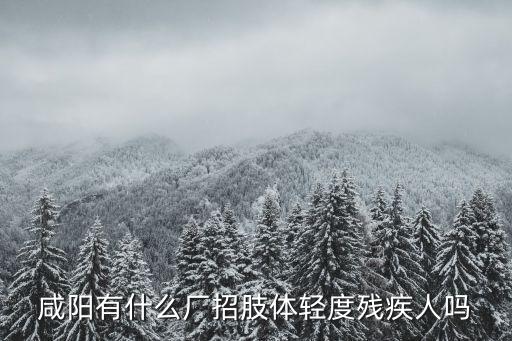 咸陽有什么廠招肢體輕度殘疾人嗎
