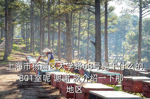 上海市楊浦區大學路68號是干什么的 801室呢 謝謝 就介紹一下那一地區