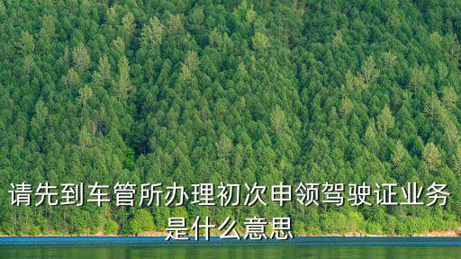 請先到車管所辦理初次申領駕駛證業(yè)務是什么意思
