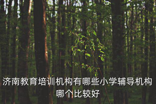濟南培訓(xùn)，濟南教育培訓(xùn)機構(gòu)哪家比較好求推薦一個