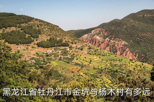 黑龍江省牡丹江市金坑與楊木村有多遠