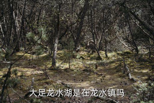 大足龍水湖，大足龍水湖是在龍水鎮嗎